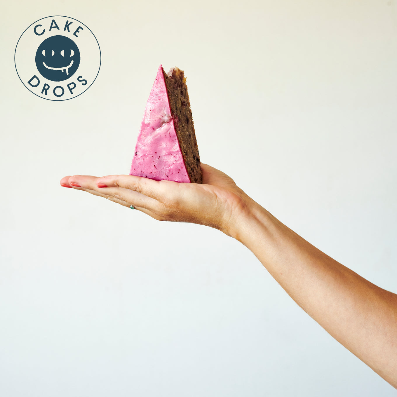 A slice of Blueberry Cake in the palm of a hand