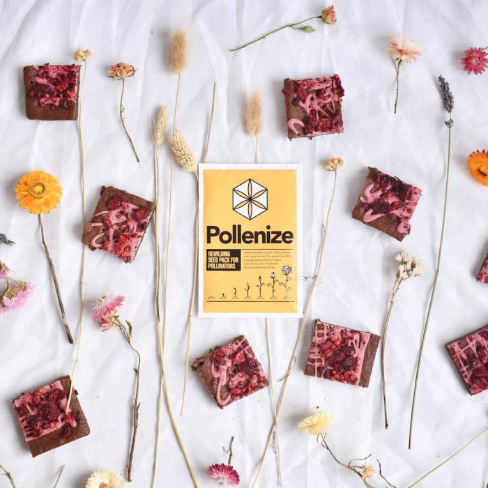 Pollenize Seed Pack surrounded by wild flowers and portions of Exploding Bakery Brownies.