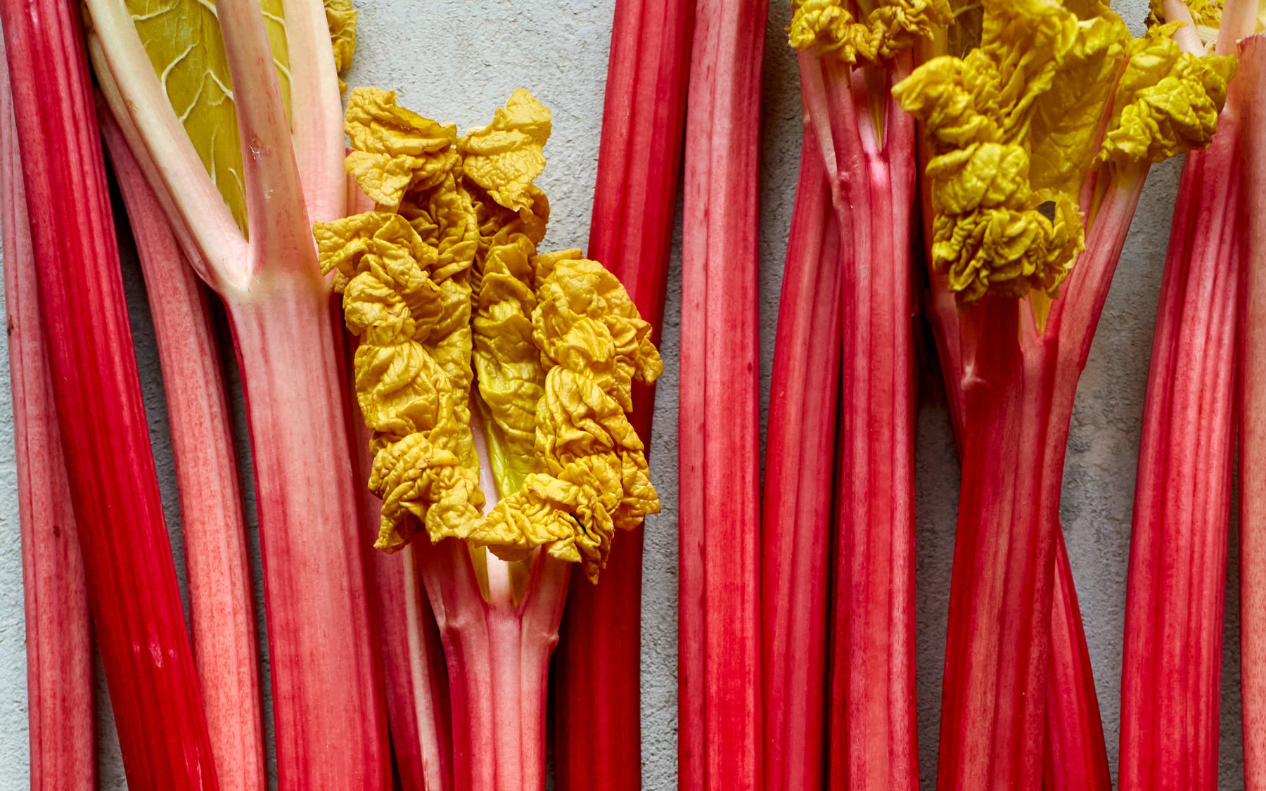 Rhubarb Crumble Cake - Recipe