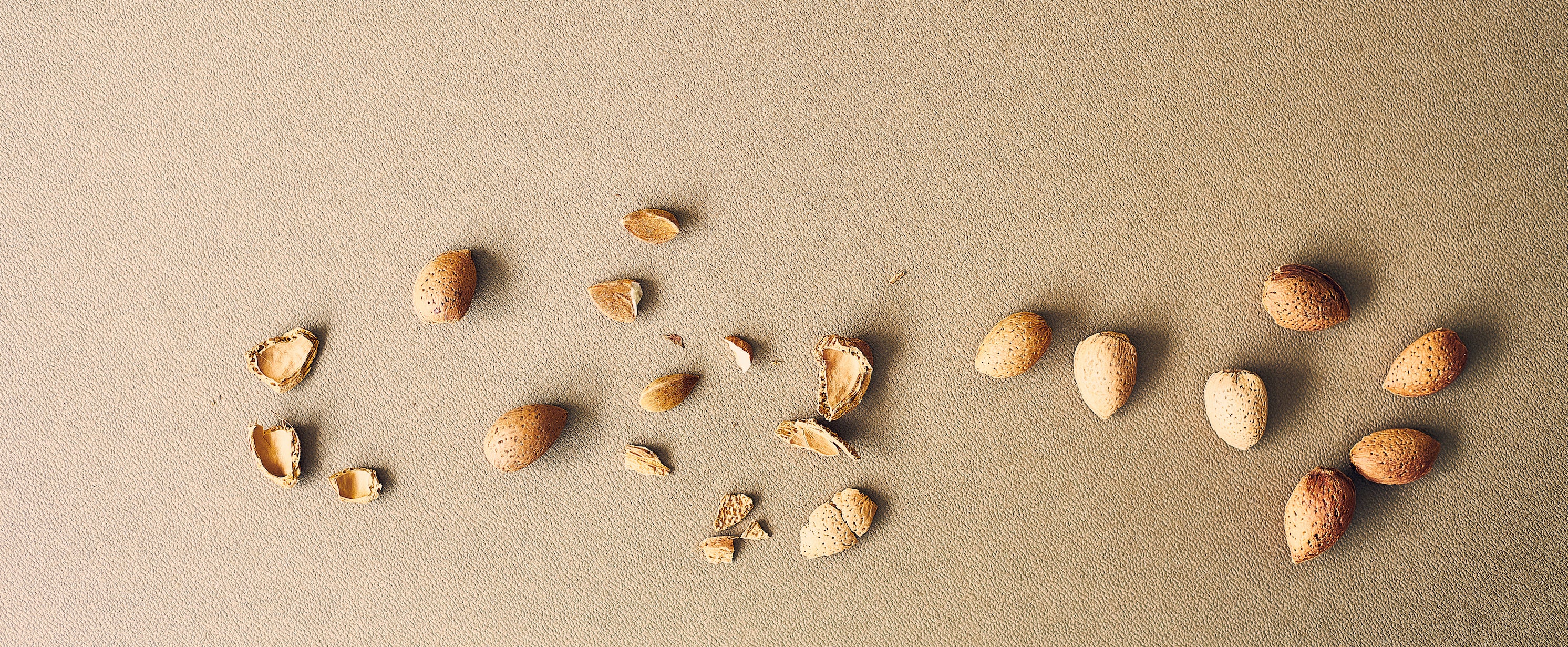 Regenerative Nuts